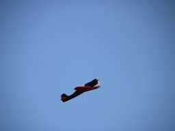 fliegen0903 41